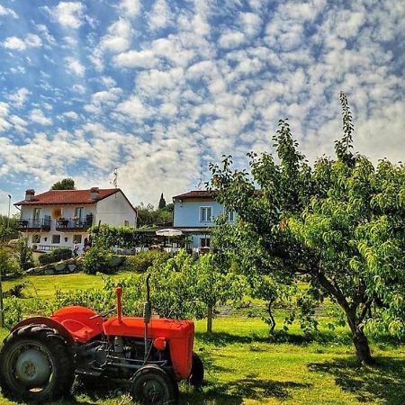Agriturismo 30 Moniga del Garda Eksteriør bilde