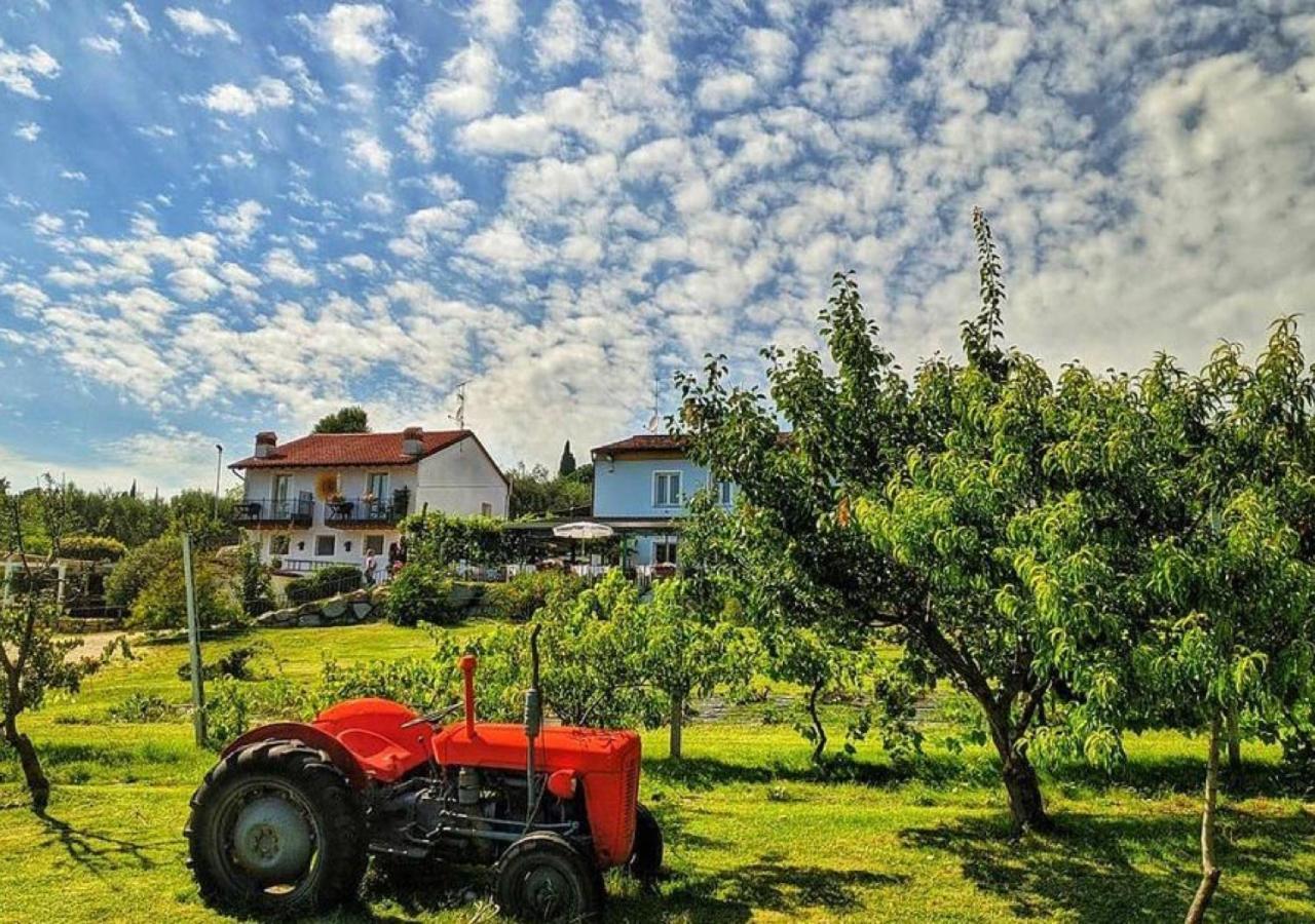 Agriturismo 30 Moniga del Garda Eksteriør bilde