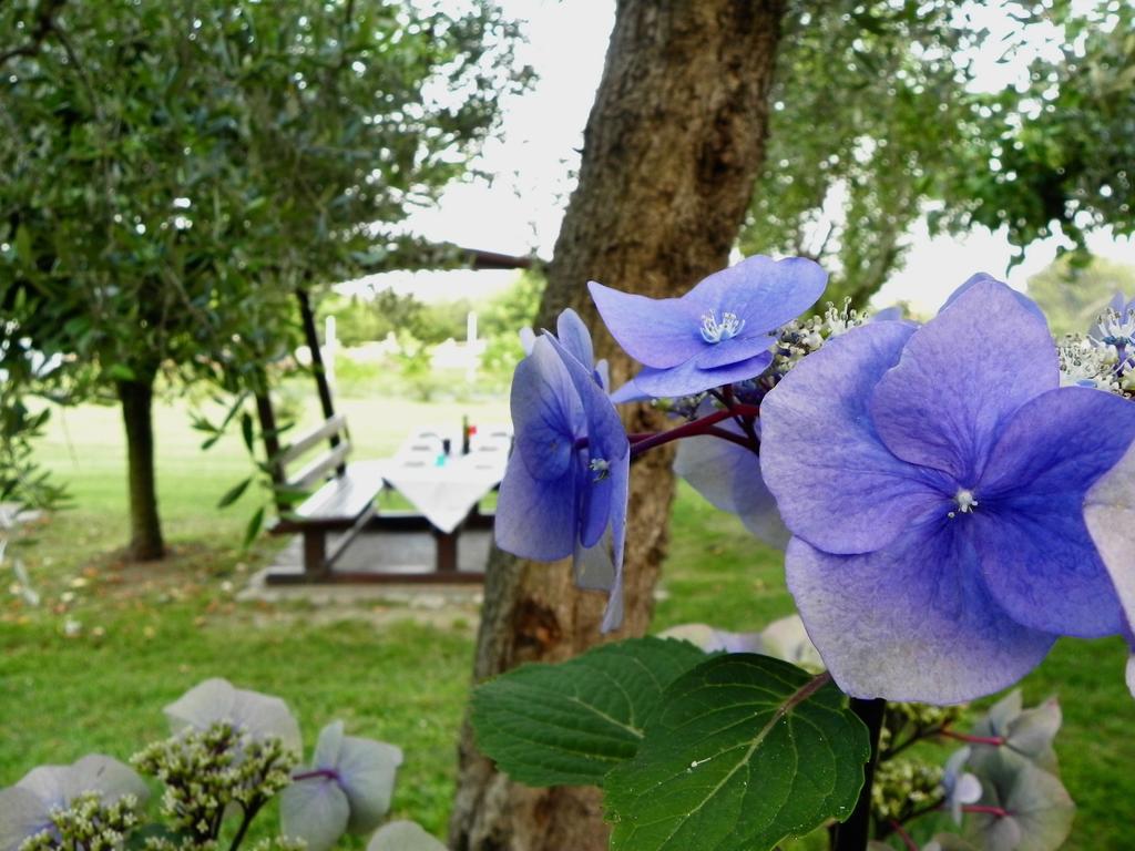 Agriturismo 30 Moniga del Garda Eksteriør bilde